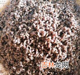 黑色糯米饭怎么做才黑