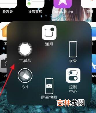 苹果怎么设置左右滑动返回