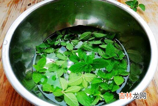 薄荷炒鸡蛋怎么做
