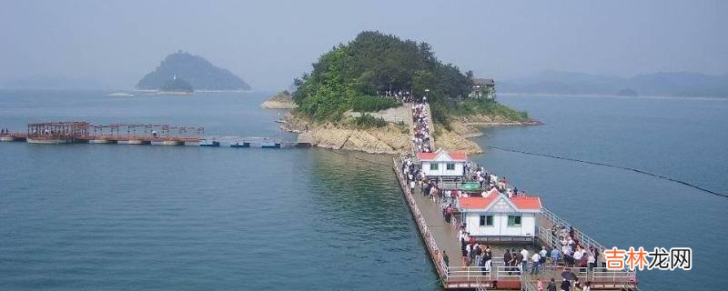 神龙岛在哪