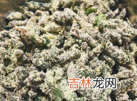 毛构树穗怎么吃