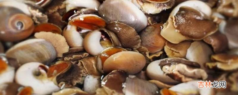 吴川市特色美食有什么