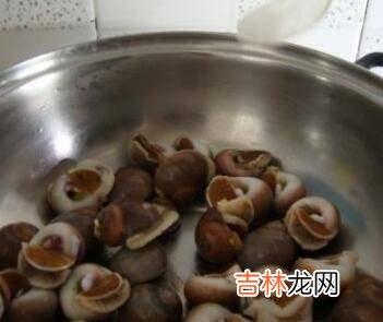 大香螺煮多久