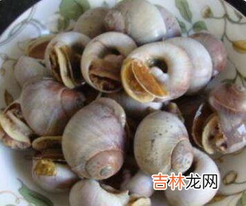 大香螺煮多久