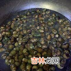 炒螺丝怎么炒