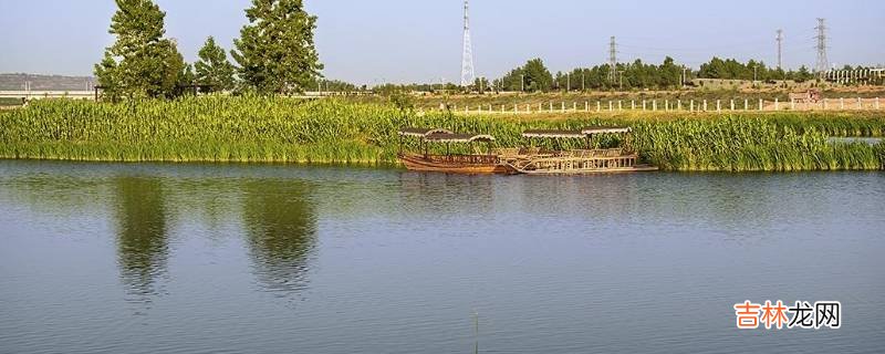 宾阳湿地公园在哪里