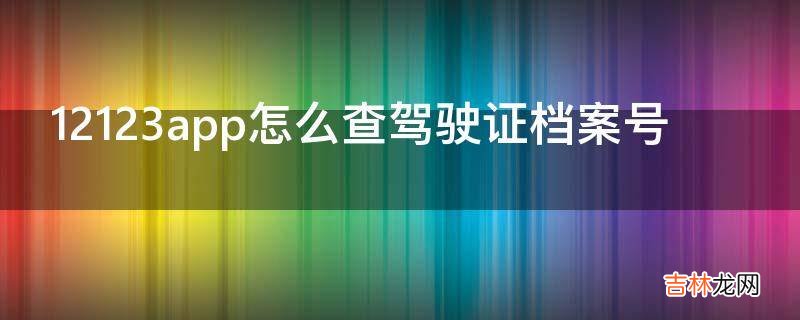 12123app怎么查驾驶证档案号