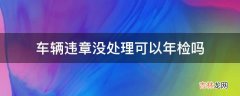 车辆违章没处理可以年检吗?