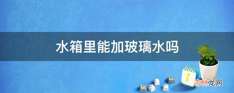 水箱里能加玻璃水吗?