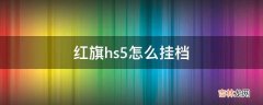 红旗hs5怎么挂档?