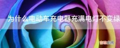 为什么电动车充电器充满电灯不变绿?