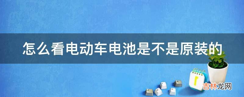 怎么看电动车电池是不是原装的?