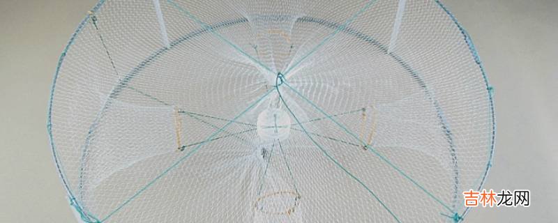 渔网还是鱼网
