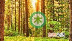 五行属木又寓意好的字男孩名字 缺木最吉利的五十个字