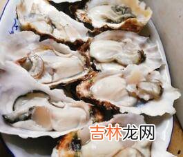 生蚝怎么吃好吃又简单