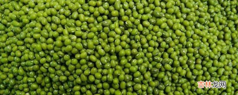 阳原县特色美食有什么
