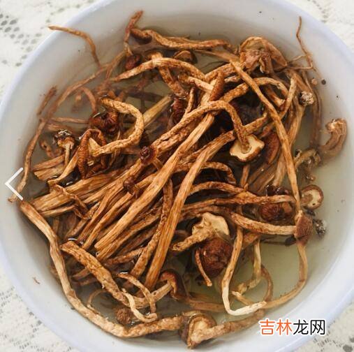 菌汤用什么材料怎么做