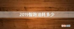 2019智跑油耗多少?