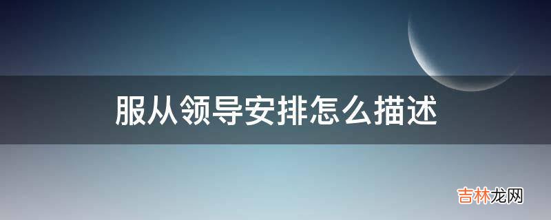 服从领导安排怎么描述