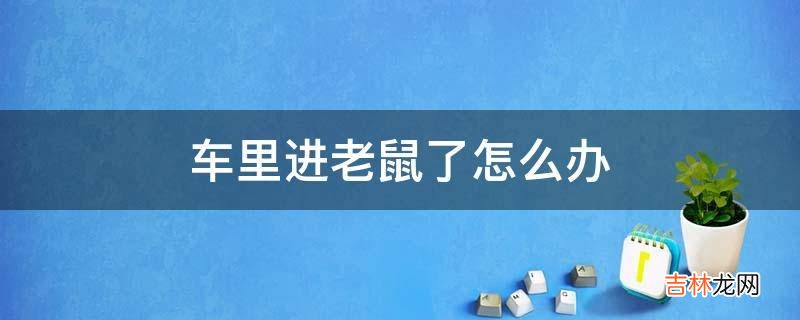 车里进老鼠了怎么办?