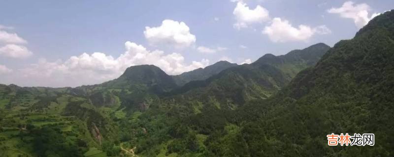 礼县的特色景点有哪些?