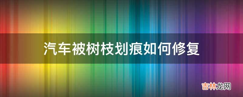 汽车被树枝划痕如何修复?