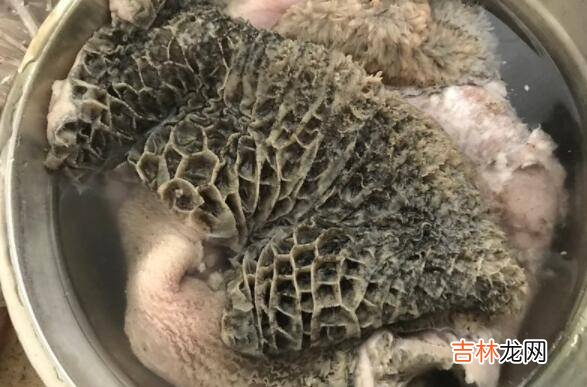 牛草肚怎么洗才能干净