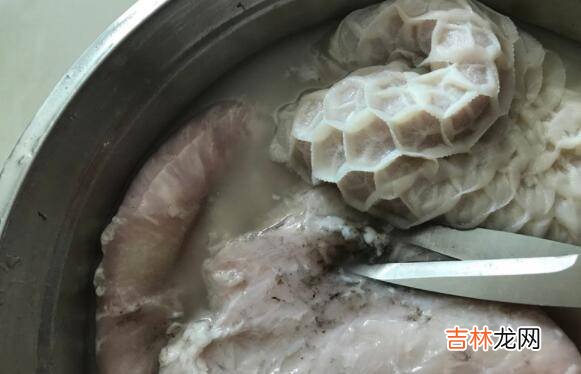 牛草肚怎么洗才能干净