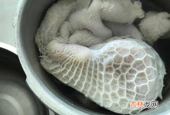 牛草肚怎么洗才能干净
