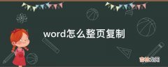 word怎么整页复制