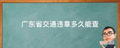 广东省交通违章多久能查?