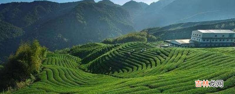 苍梧县的特色景点有哪些?