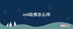 m6哈佛怎么样?