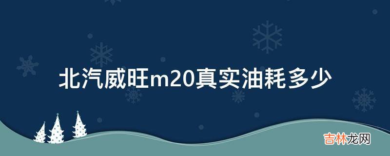 北汽威旺m20真实油耗多少?