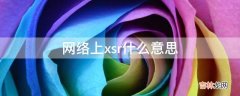 网络上xsr什么意思