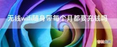 无线wifi随身带每个月都要充钱吗