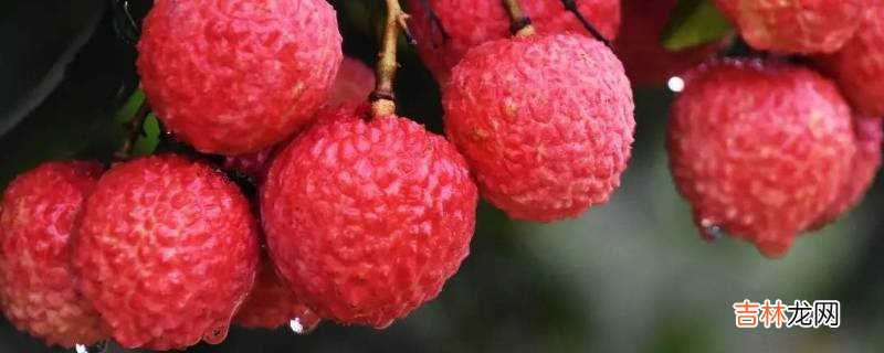 荔枝有汽油味怎么回事