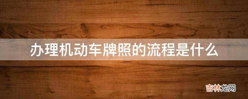 办理机动车牌照的流程是什么?