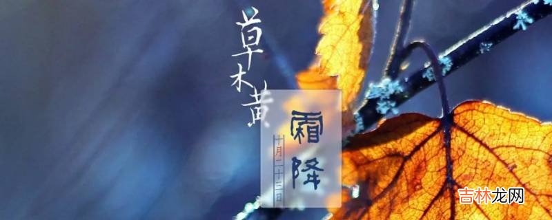 霜降代表什么