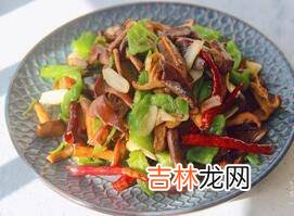 找野生菌野生菌怎么炒