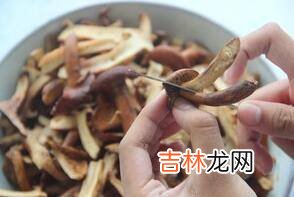 找野生菌野生菌怎么炒