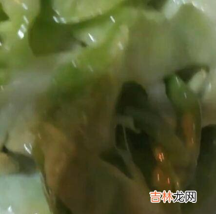 圆白菜和粉条怎么炒