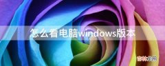 怎么看电脑windows版本