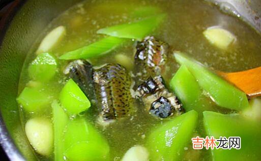 黄鳝怎么炖汤有营养