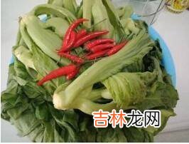 野辣菜的腌制方法