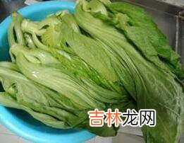 野辣菜的腌制方法