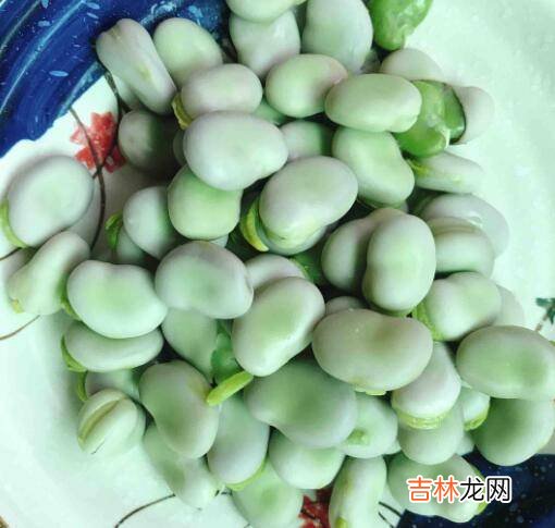 盐豆子怎么做