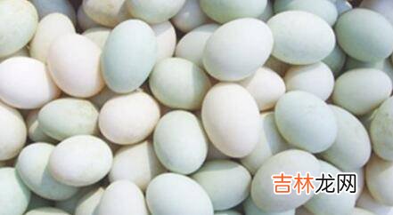 盐皮蛋的制作方法