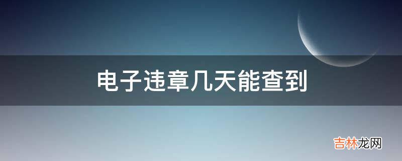 电子违章几天能查到