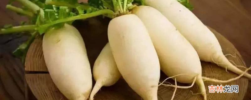 楼房怎样储存大萝卜